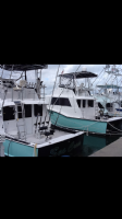 Sea Cross Deep Sea Fishing Miami  Photo