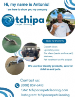 Tchipa Carpet Cleaning LLC Photo